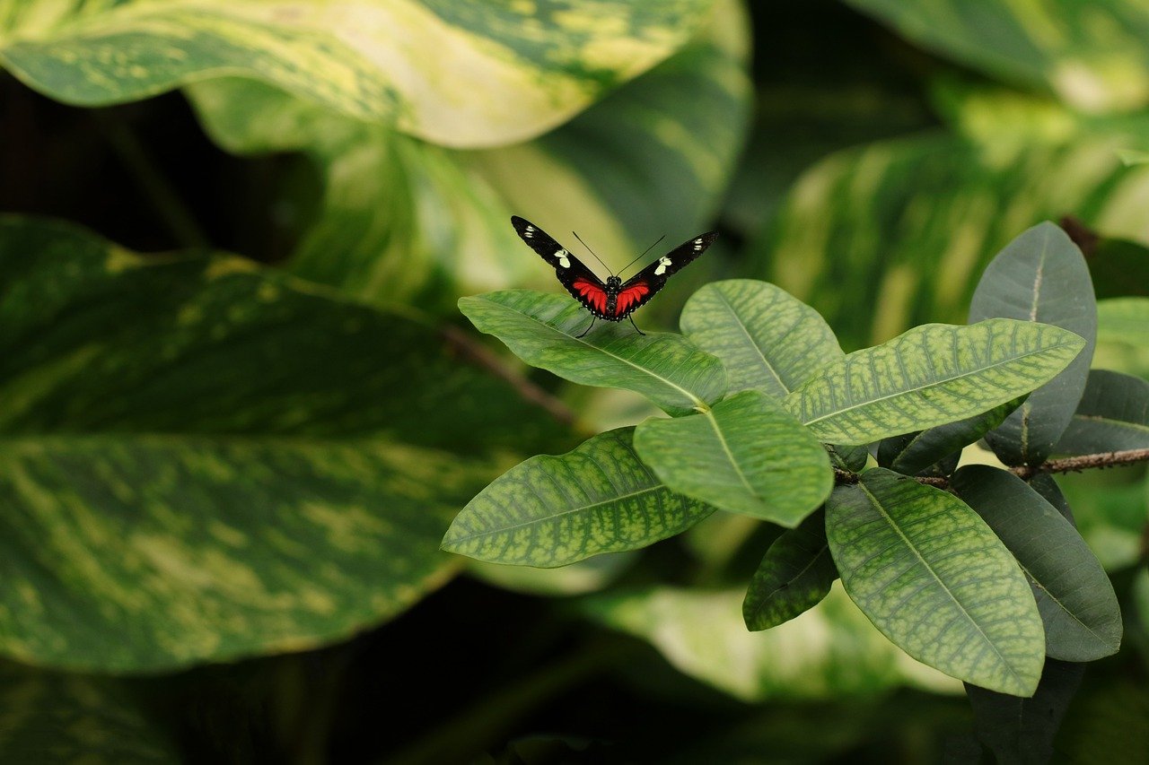 Técnicas Reunidas reaffirms its commitment to the protection of nature and biodiversity